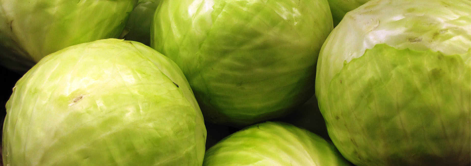 Cabbage and Turnip: Healthy, Nutritious and Delicious